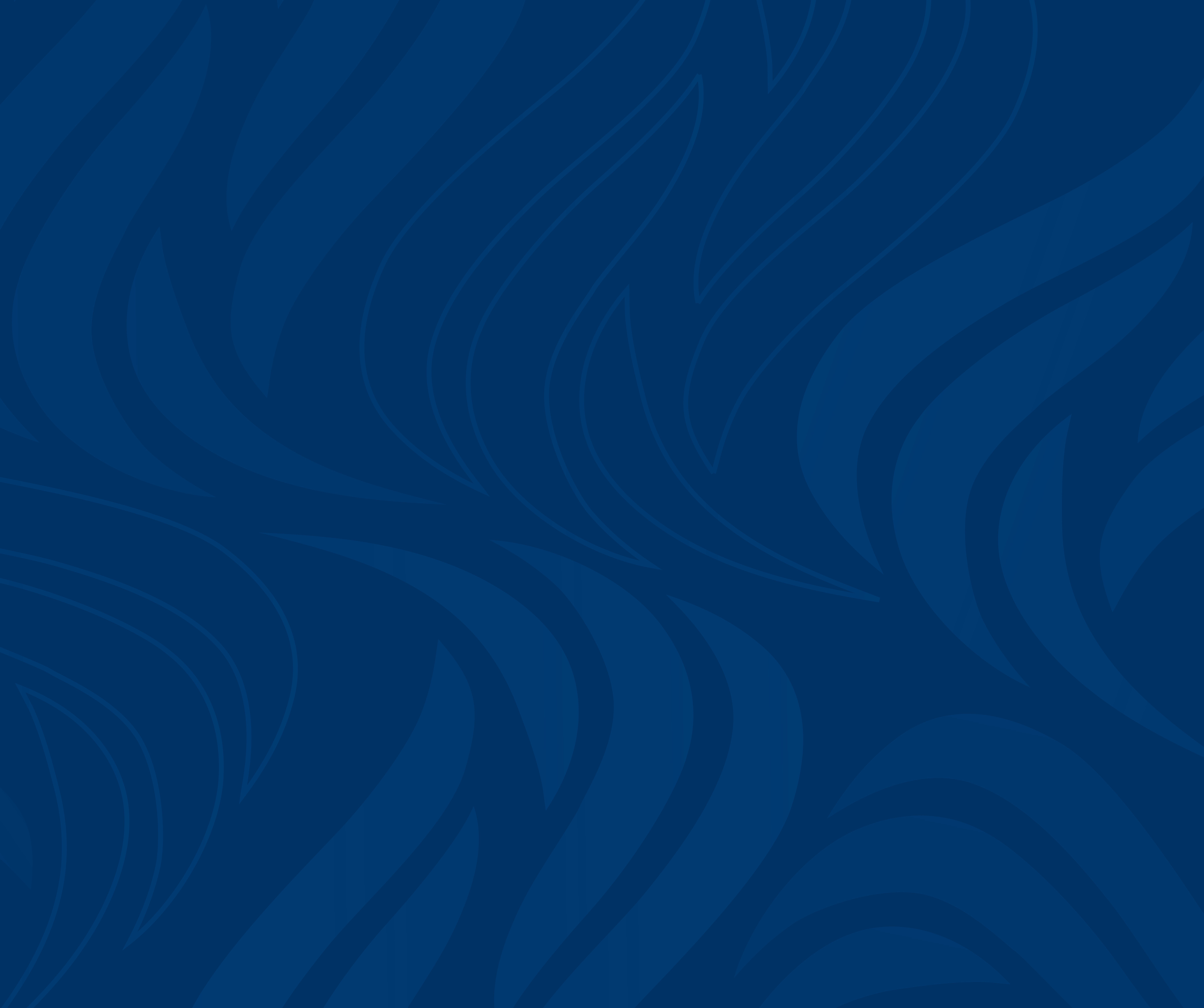 SOX - Brand Pattern - Animal Stripes - Blue-01