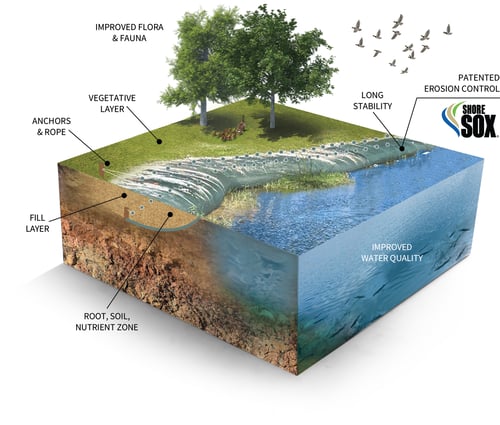 SOX - 3D Digital Model - With Text