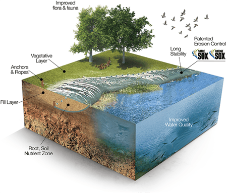 sox-model-3d sox-model-3d