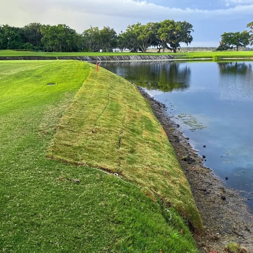 sox_plantation-course_outcome