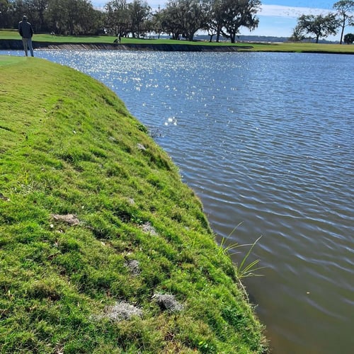 sox_plantation-course_problem